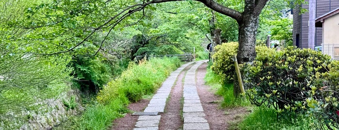 Philosopher's Path is one of Kansai.