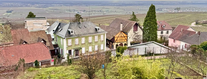 Zellenberg is one of Alsace.