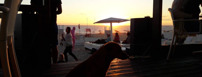 Bar do Peixe is one of João’s Liked Places.