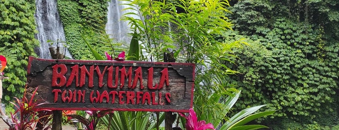 Banyumala Twin Waterfall is one of Bali.