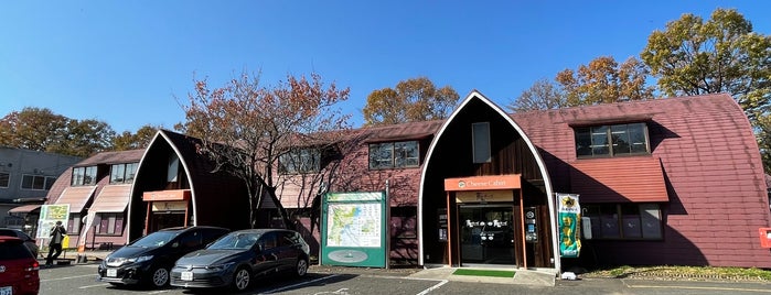 蔵王酪農センター is one of food.