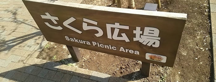 さくら広場 is one of 公園_東京都.