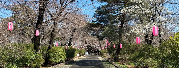 Kezoji Park is one of Sakura Pavements.