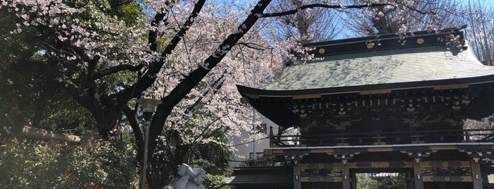 武蔵野稲荷神社 is one of deep tokyo.