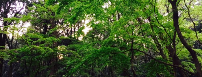 群馬の森 is one of 博物館(関東).