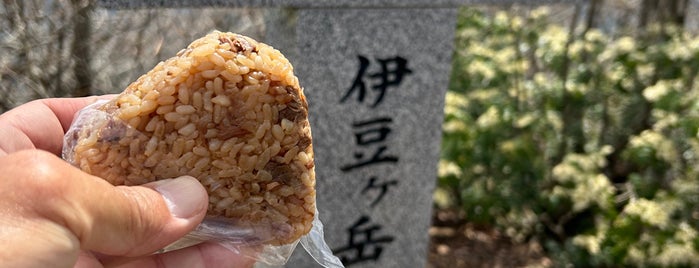 伊豆ヶ岳 is one of 日本の🗻ちゃん(⌒▽⌒).