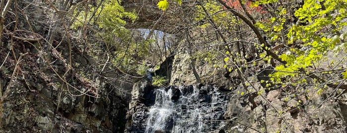 Greenbrook Falls is one of BEST OF: Waterfalls.