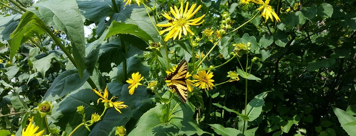 Sarett Nature Center is one of Michigan Places.