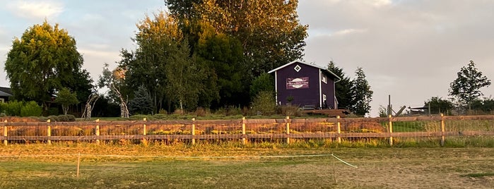 Purple Haze Lavender Farm is one of Seattle + Portland.