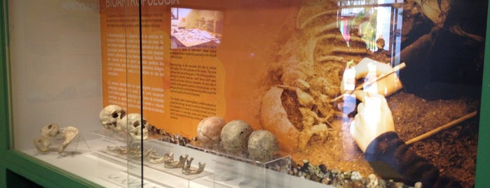 Museu Arqueologico Sambaqui is one of Tempat yang Disimpan Deise.