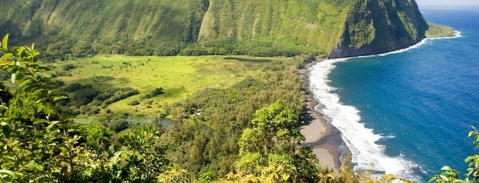 Waipi'o Beach is one of The 20 Most Beautiful Beaches in the World.