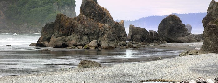 Olympic National Park is one of 10 National Parks to See Before You Die.