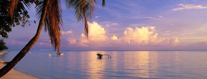 Matira Beach is one of Lugares guardados de Caroline.