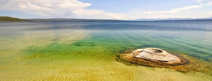 Yellowstone Lake is one of สถานที่ที่บันทึกไว้ของ Robin.