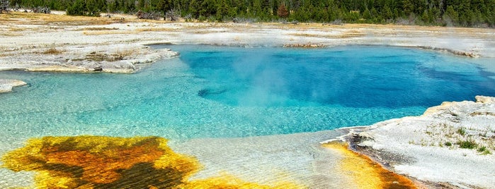 Yellowstone Millî Parkı is one of National Parks.