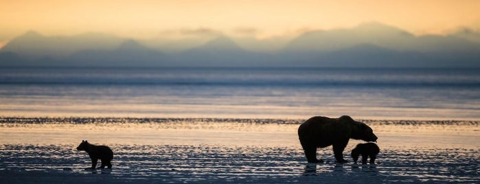 Lake Clark National Park and Preserve is one of Alaska Trip.