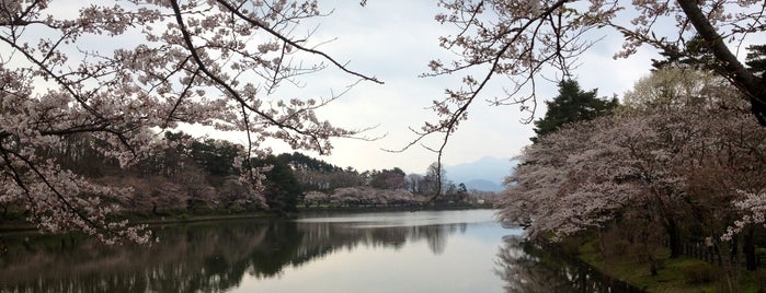 Takamatsu Pond is one of 観光 行きたい.