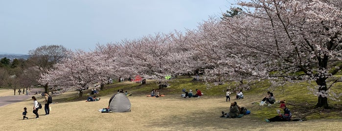 大乗寺丘陵公園 is one of 🏯🇯🇵KANAZAWA 🇯🇵 🏯.