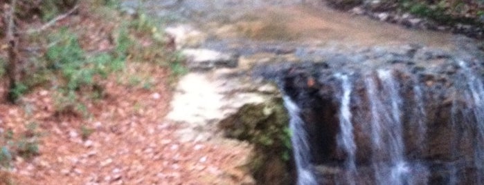 Daleville Waterfall is one of Alabama.