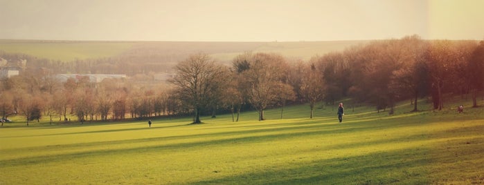 Stanmer Park is one of Brighton.
