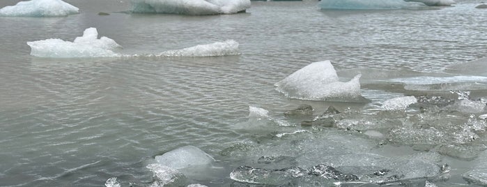 Fjallsárlón Glacier Lagoon is one of 2016-07-09t23 Crystal Sym Cruise.