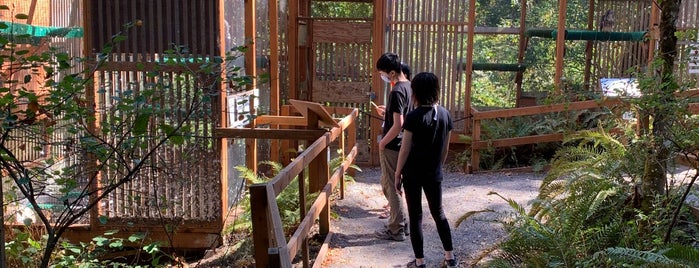Cascade Raptor Center is one of Stacyさんの保存済みスポット.