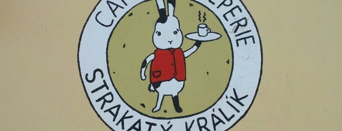 Strakatý králík is one of favourites.