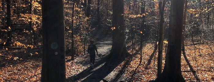 Pohick Loop Trail is one of Trails & parks.