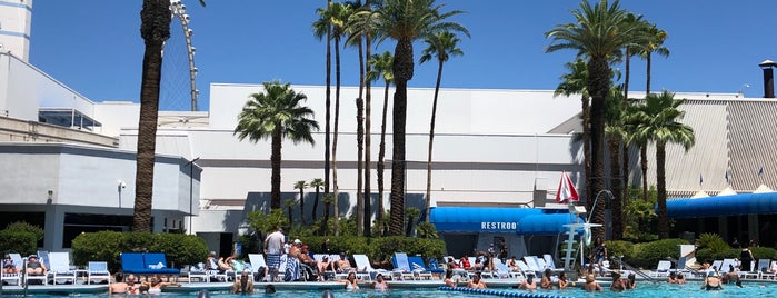 Blu Pool is one of Visit to Las Vegas.