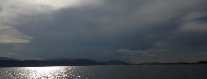 Mayne Queen is one of Pender Island.