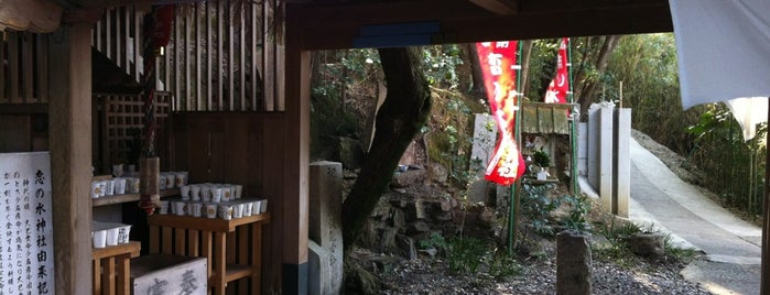 恋の水神社 is one of 名古屋探検隊.