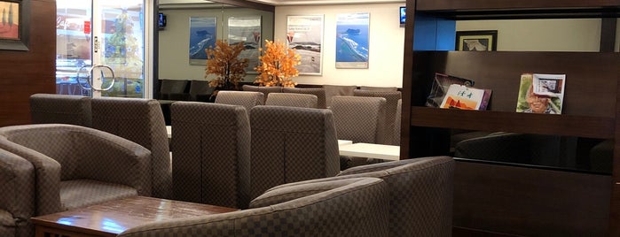 Hafa Adai Vip Lounge Saipan Int'l airport is one of Steffenさんのお気に入りスポット.
