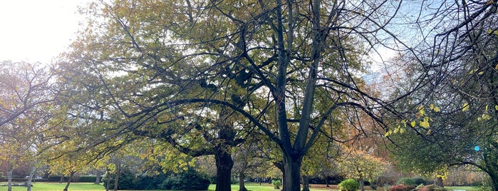 Lewisham Park is one of London.