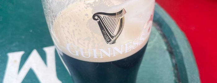 The Auld Dubliner is one of Must-visit Pubs in Dublin.