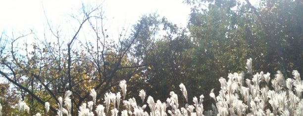 Hanbat Arboretum is one of SolBridgers' Survival Guide.