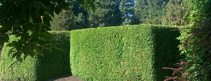 The Maze at Van Dusen Gardens is one of Vancouver.