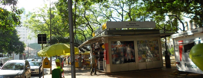 Praça Moema is one of Must-visit Great Outdoors in São Paulo.