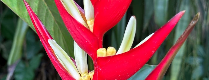 Botanischer Garten is one of Bern.