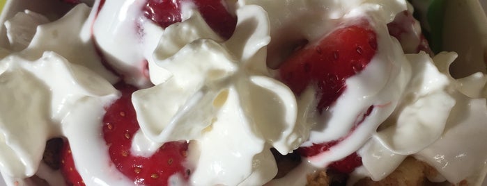 Sugar Berry Frozen Yogurt is one of favorite places in EL.
