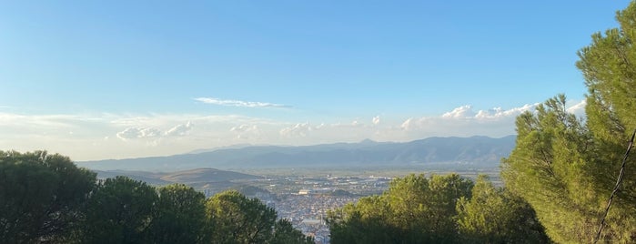 Tire Belediyesi Toptepe Aile Gazinosu is one of GİDİLİP GÖRÜLMESİ GEREKEN YERLER..