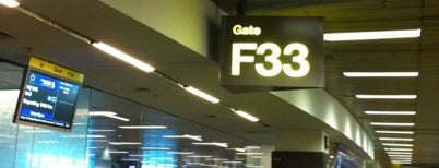 Gate F33 is one of SIN Airport Gates.
