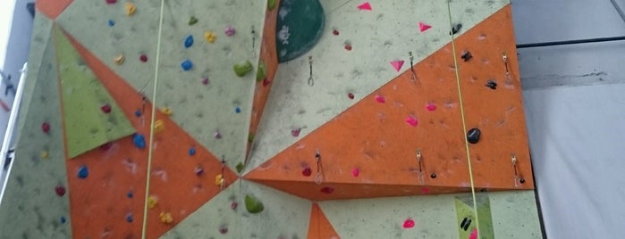 Climbing Gyms in Romania