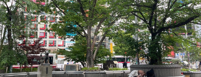 Hachiko Square is one of 公園_東京都.
