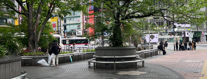 Hachiko Square is one of Shibuya.