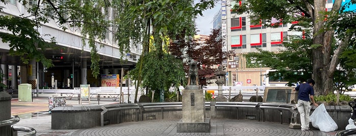 Hachiko Square is one of Japan.