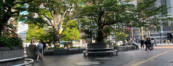 Hachiko Square is one of Japan.