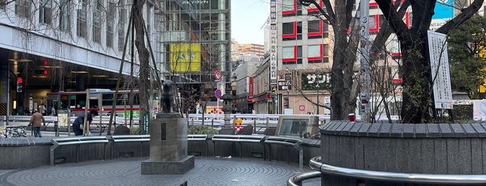 Hachiko Square is one of Locais curtidos por jordi.