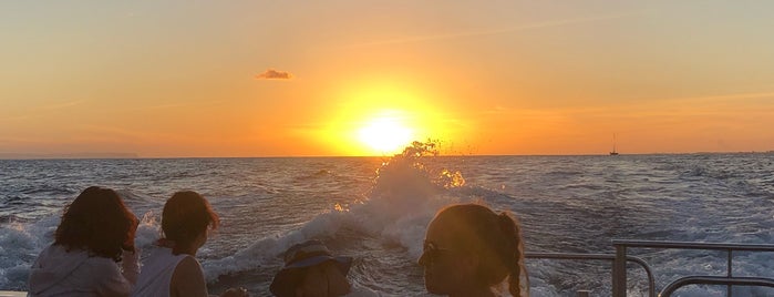 Captain Andy's Sunset Cruise is one of Hawaii.