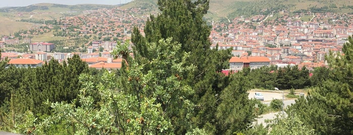 Çorum-Yozgat-Tokat-Samsun