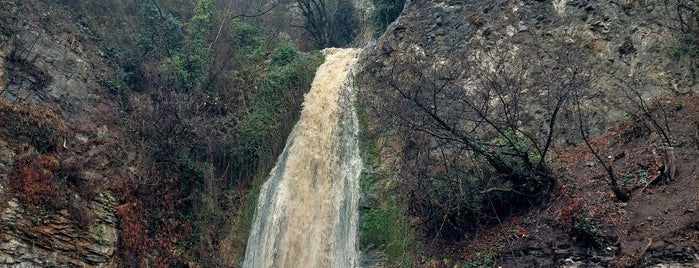 Waterfall in Botanical Garden is one of Tbilisi.